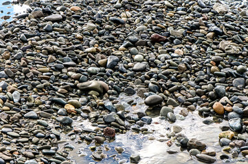 sea ​​stones in winter on the beach in Cyprus 1