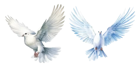 Fotobehang watercolor of dove bringing peace © Finkha