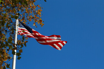Eagle Passes American Flag Against Blue Sky