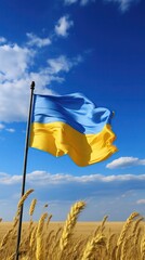 Ukraine flag large national symbol fluttering in cloudy sky in wheat field