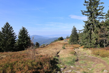 Fototapeta na wymiar Blick von den Osserwiesen über die Täler und Berge des Bayerischen Waldes 