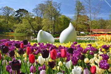 Keukenhof tulip garden ladscape view, Netherlands. Beautiful spring flowers garden in Europe. - obrazy, fototapety, plakaty