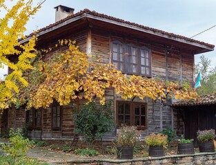 Fototapeta na wymiar Old traditional Bulgarian house with wooden walls and windows and autumn leaves. Typical architecture from the Bulgarian National Revival period. Exterior greenery decoration. Historical place, Medven