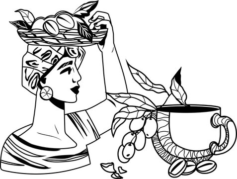 Coffee harvesting decorative graphic with image of coffee plant elements and farmer woman, hand drawn monochrome line art illustration.