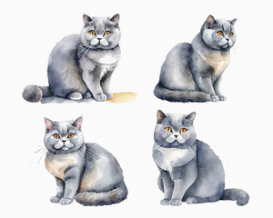 British shorthair Cats. Watercolor sitting cat illustration 4 sets
