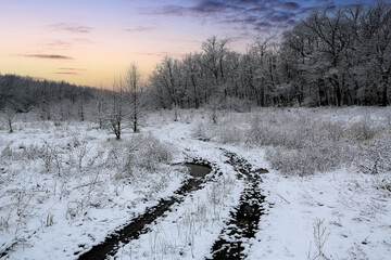 dirt road across winter meadow in forest - 707083108