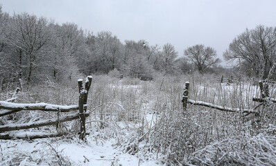 old pasture in winter