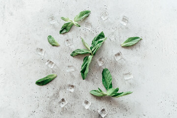 Mint leaves and ice cubes on table