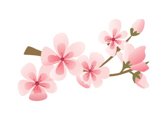 Cherry Blossom Branch. Pink Sakura Flower. Spring Background. Vector Illustration.