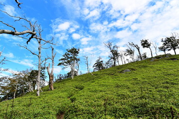 奈良県の釈迦ヶ岳