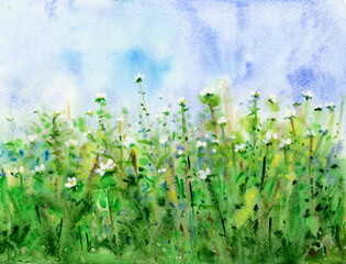 Spring, green, floral background. Watercolor illustration. - 707089184