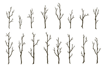 Tree branches set. Hand drawn bare wood sticks vector illustration. Thin forest trees silhouettes isolated on white background - obrazy, fototapety, plakaty