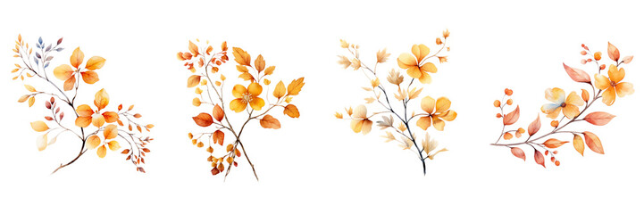 Set of Watercolor autumn twig with single leaves and flowers on a transparent background  