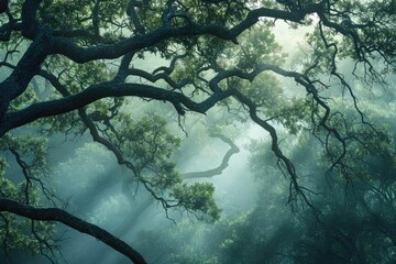 A solitary tree stands amidst a misty forest, its many branches reaching out like arms to embrace the outdoor landscape