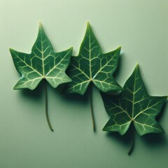 green leaf on green background
