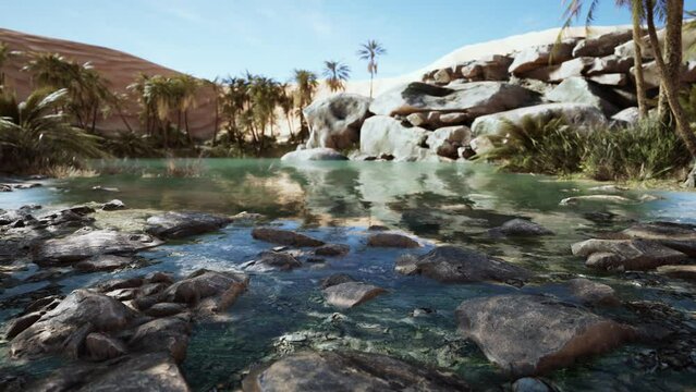 Fantasy pond oasis in a palm forest