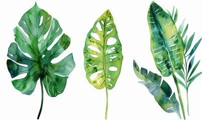 Exotic watercolor tropical leaves and plants background - obrazy, fototapety, plakaty