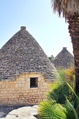 Fototapeta na wymiar typical trulli houses of Puglia, stone houses with stone roofs, palm trees, Alberobello town, Italy