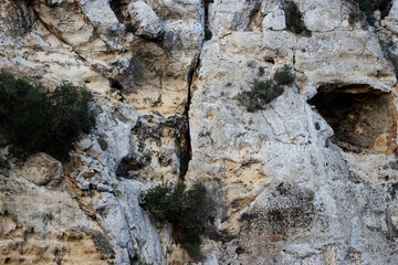 typical canyon gorge rock cliff face with green trees in Menorca