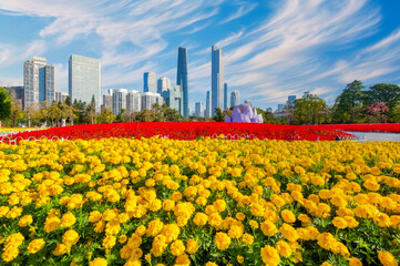 Vibrant Urban Park with Color Gradient Flowers and Modern Skyscrapers, City Life Meets Nature