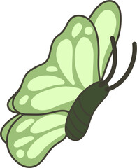 Butterfly Flat Illustration