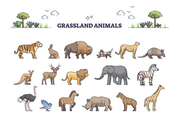 Obraz premium Grassland animals for savanna or safari collection with mammals outline set, transparent background. Australia fauna elements with biodiversity examples illustration. African elephants, giraffe, lion.