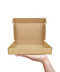 Empty cardboard box with in the male hands, transparent background