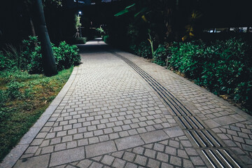 A Tree Lined Path on a Cobblestone Alley Dec 29 2023