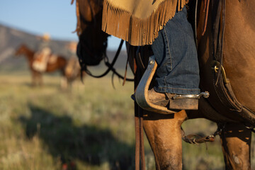 boot and spur - obrazy, fototapety, plakaty