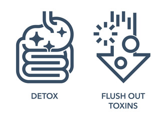 Detox and Flush Out Toxins - food supplement icons - obrazy, fototapety, plakaty