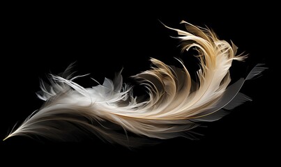 Luxury feather photography with smoke on black background, Generative Ai

