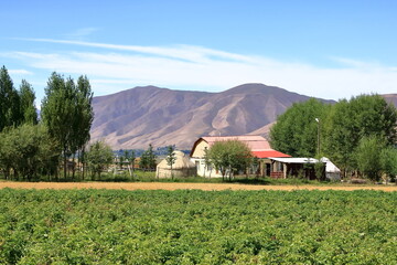 rural landscape in the Chong Kemin National Park in Kyrgyzstan, Central Asia