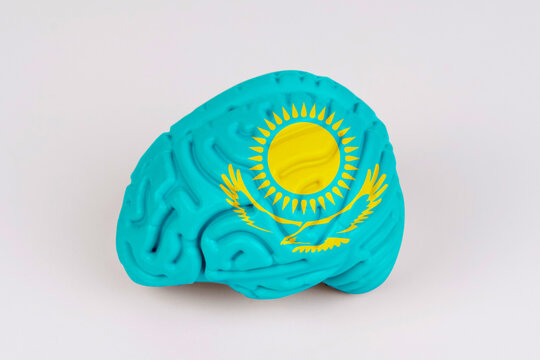 On a white background, a model of the brain with a picture of a flag - Kazakhstan
