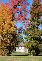Autumnal charm in Monza Park: vibrant foliage, rustic cottages, and tranquil scenery. - 707130764