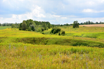 valley with green hills and trees and rainy sky copy space 