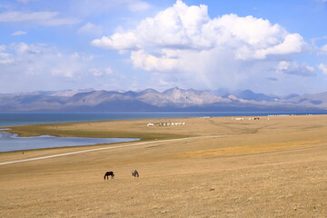 View over Song kol lake, steppe and surrounding mountains, Kyrgyzstan