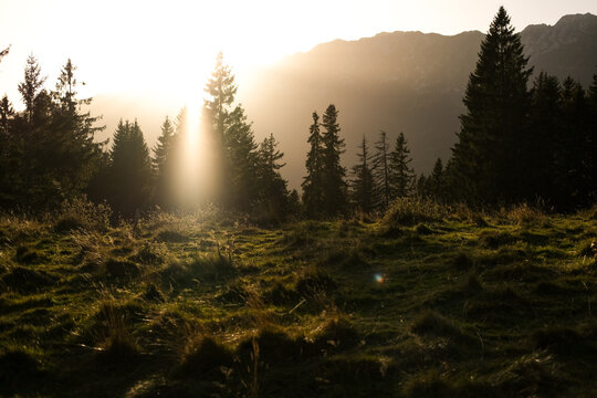 Autumn scene with alpine meadow landscape and epic golden hour light