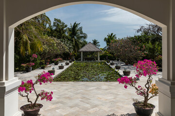 Lotus flower pond with gazebo in tropical setting. Wide angle shot with arch
