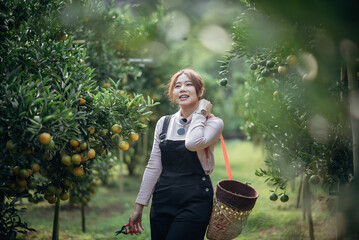 A happy woman farmer is working in orchard or orange farm.