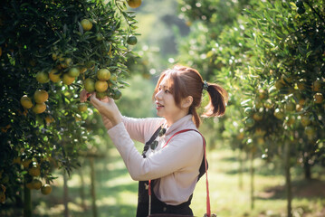 A happy woman farmer is working in orchard or orange farm.