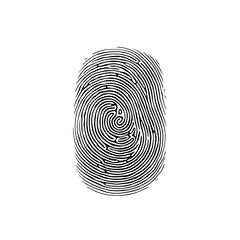 Human fingerprint isolated on white background.
