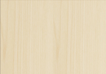 Fototapeta premium maple wood texture background