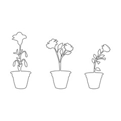 Interior flowers in pot. Indoor Home plants vector illustration set. Potted houseplant, line art hand drawing. Set of continuous one line drawing of a flowers in a pots.