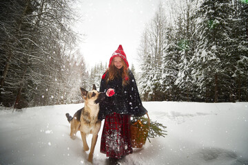 Cute little girl in red cap or hat and black coat with basket of green fir branches in snow forest...