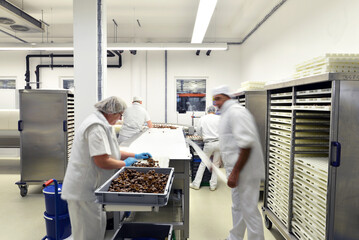 Production of pralines in a factory for the food industry - automatic conveyor belt with chocolate - obrazy, fototapety, plakaty