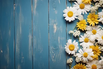 Küchenrückwand glas motiv camomile and magold flowers over blue background © neirfy