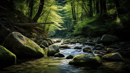 Outdoor kussens river with mossy rocks in the middle of a tropical forest © nomesart