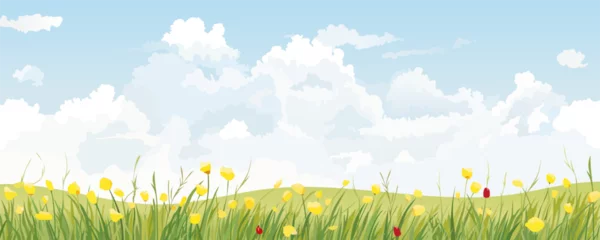 Foto op Plexiglas Green meadows with beautiful flowers against the background of amazing clouds and blue sky. Vector illustration of a summer or spring landscape of fields for design. © LoveSan