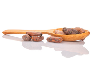 A few dry cocoa beans with a wooden spoon, macro, isolated on a black background.
