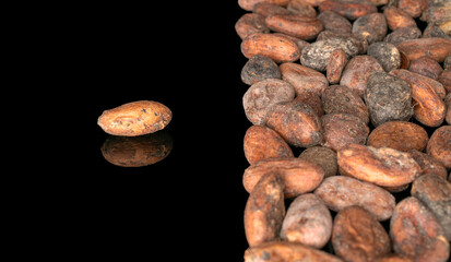 Fototapeta na wymiar Several dry cocoa beans, macro, isolated on black background.